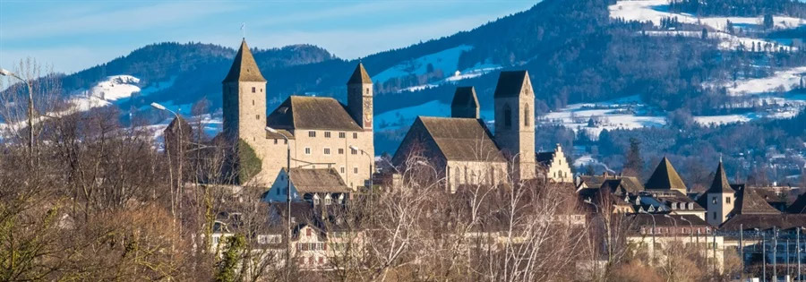 Muzeum Polskie w Raperswilu umiera